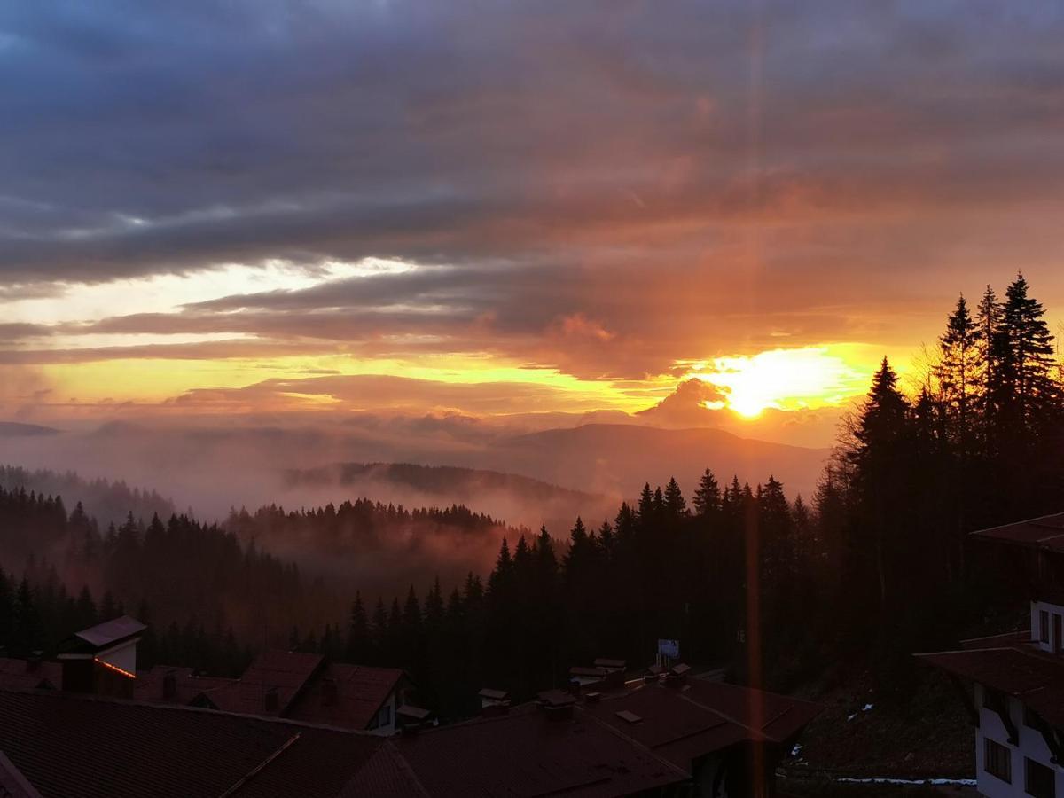Appartamento Viva 3 Grand Monastery Pamporovo Esterno foto